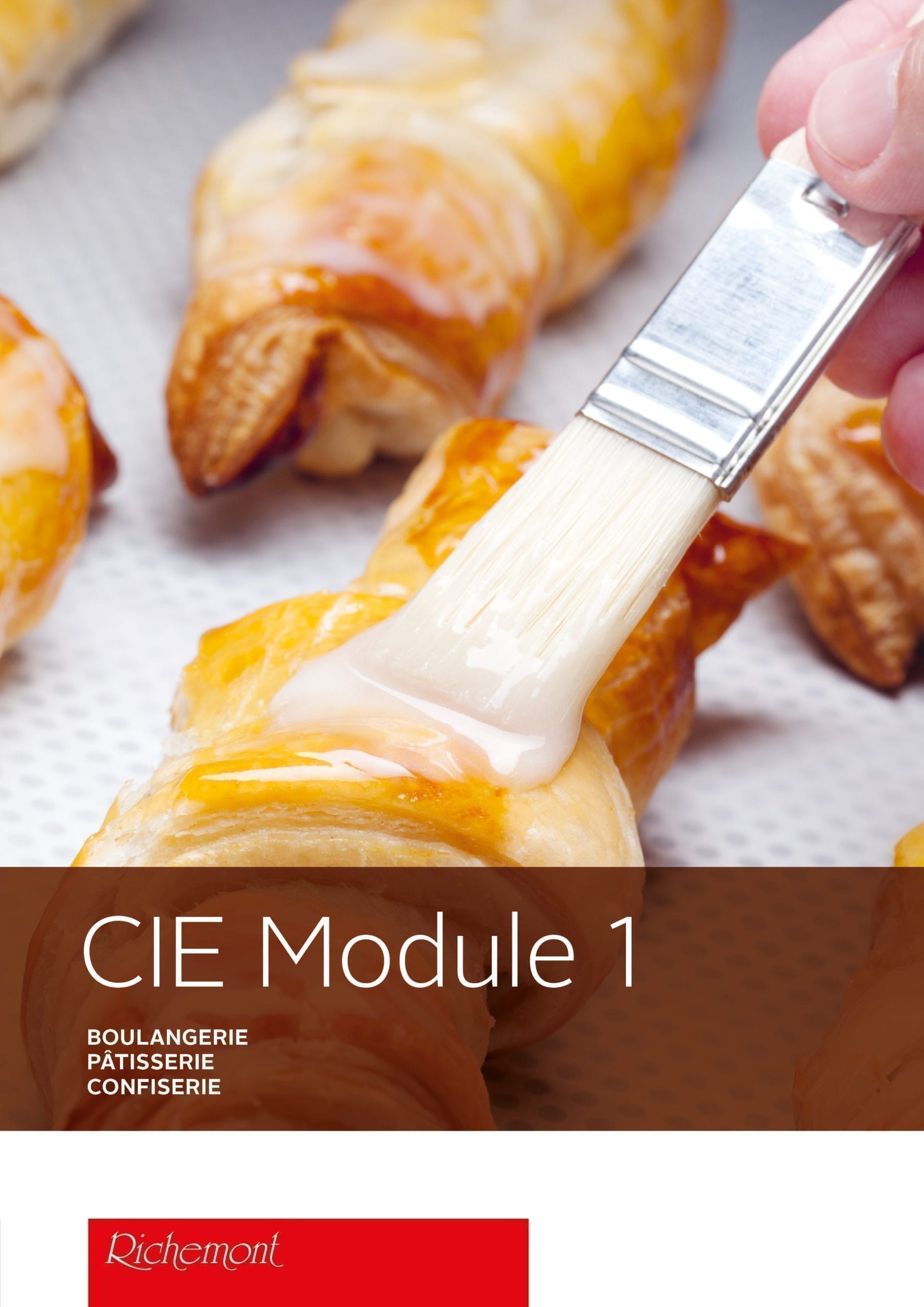 CIE Module - Matériel didactique - Richemont école professionnelle