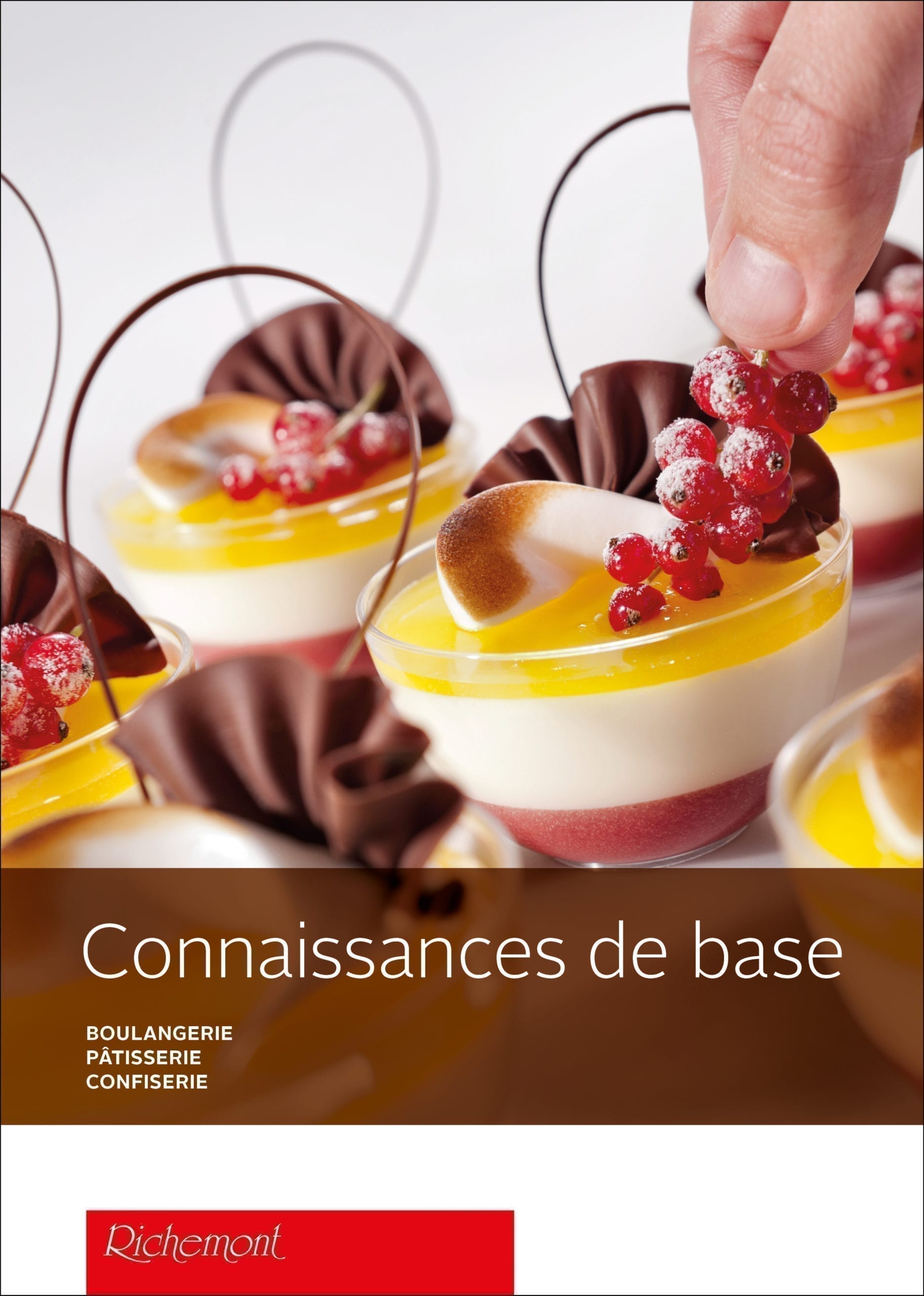 Connaissances De Base E Book Richemont Cole Professionnelle